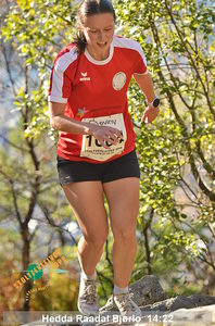 88631_2025_3.jpg